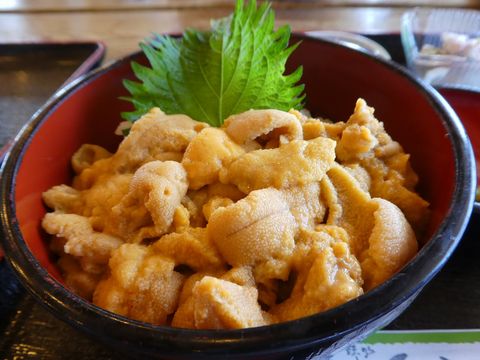 Otaru and Shakotan Sea Urchin Bowls