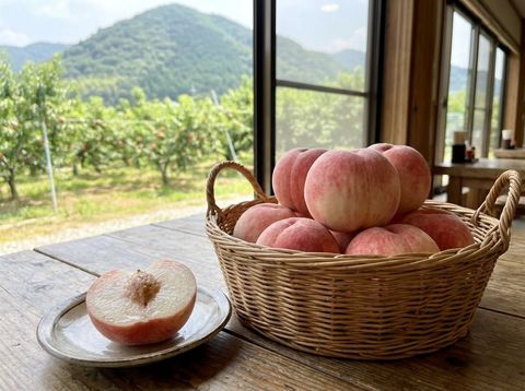 Chiaksan Peaches