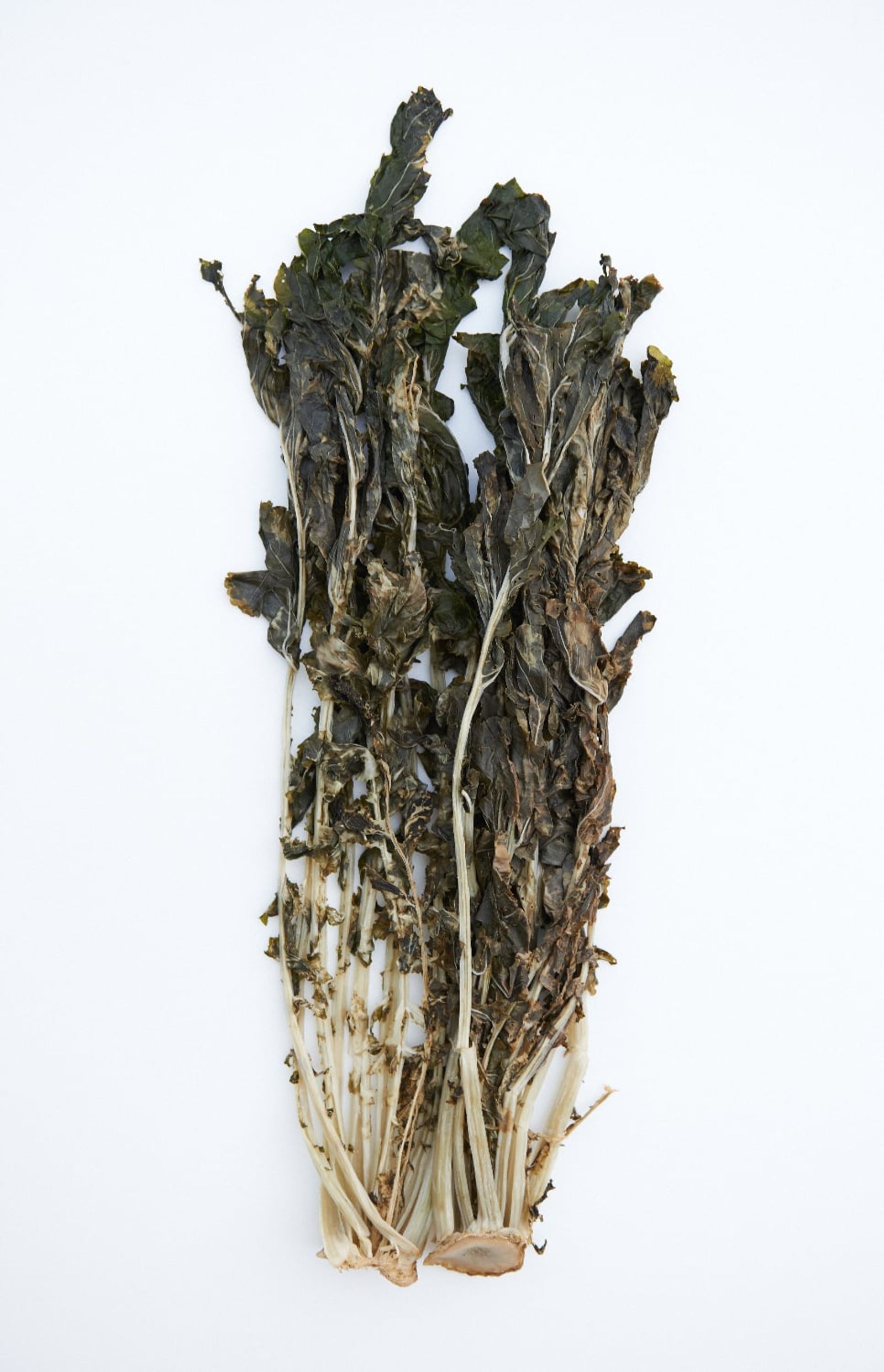 Siraegi, fully dried radish greens · Photo: 국립국어원 / CC BY-SA 2.0 KR (Wikimedia Commons)