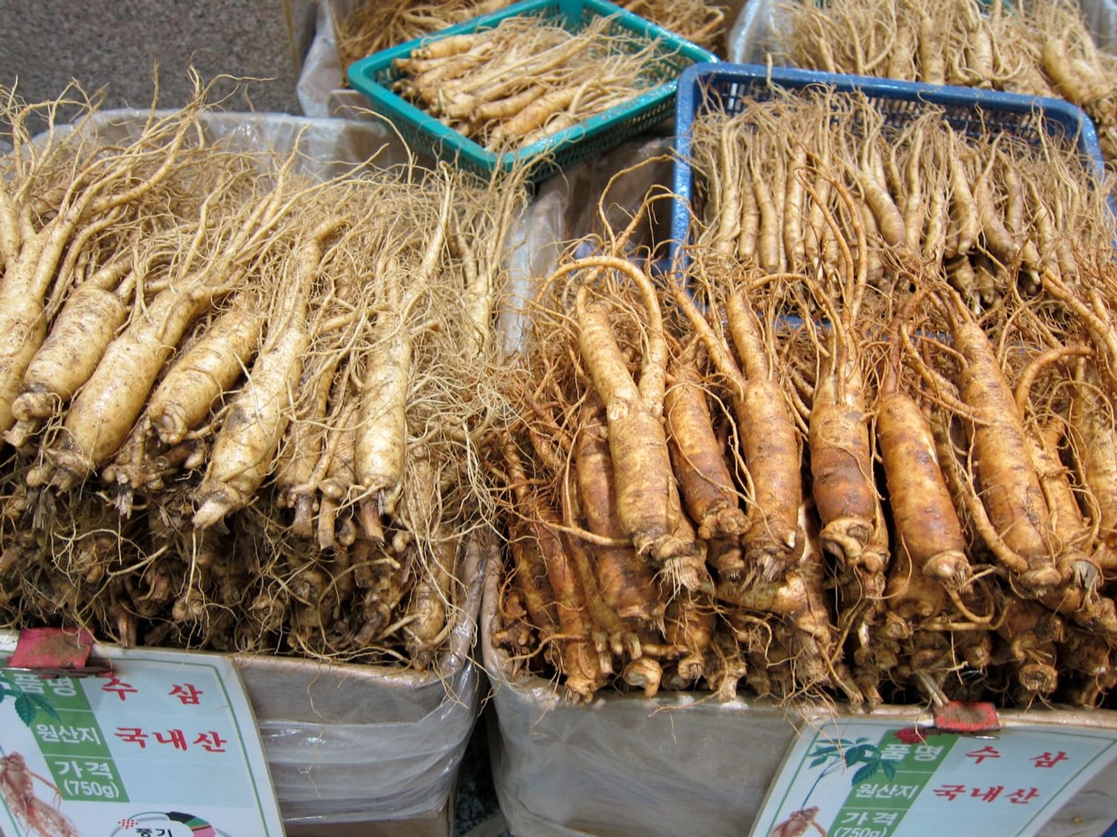 Fresh ginseng piled up at a Punggi market · Photo: Eugene Kim / CC BY 2.5 (Wikimedia Commons)