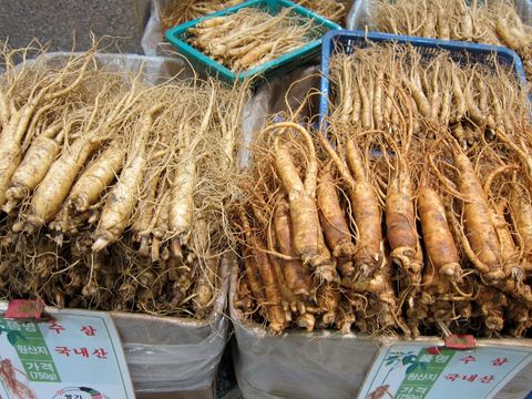 Punggi Ginseng
