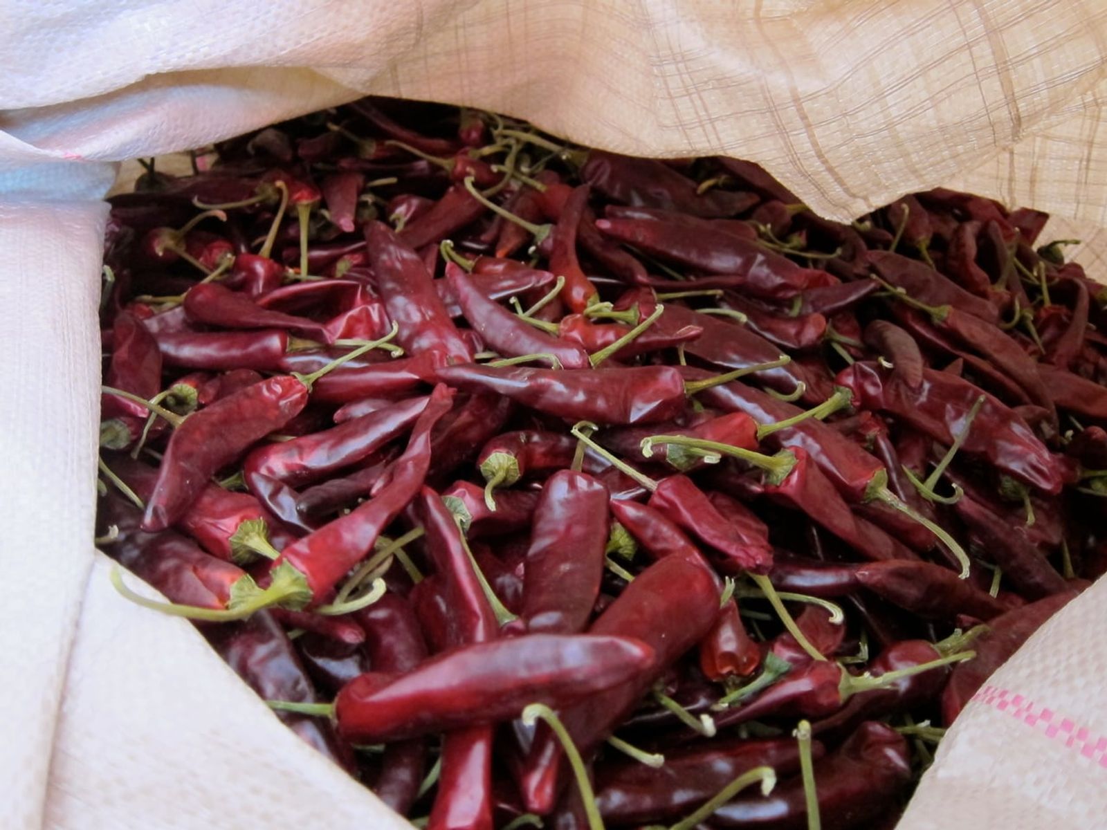 Dried Yeongyang chili peppers · Photo: Eugene Kim / CC BY 2.5 (Wikimedia Commons)