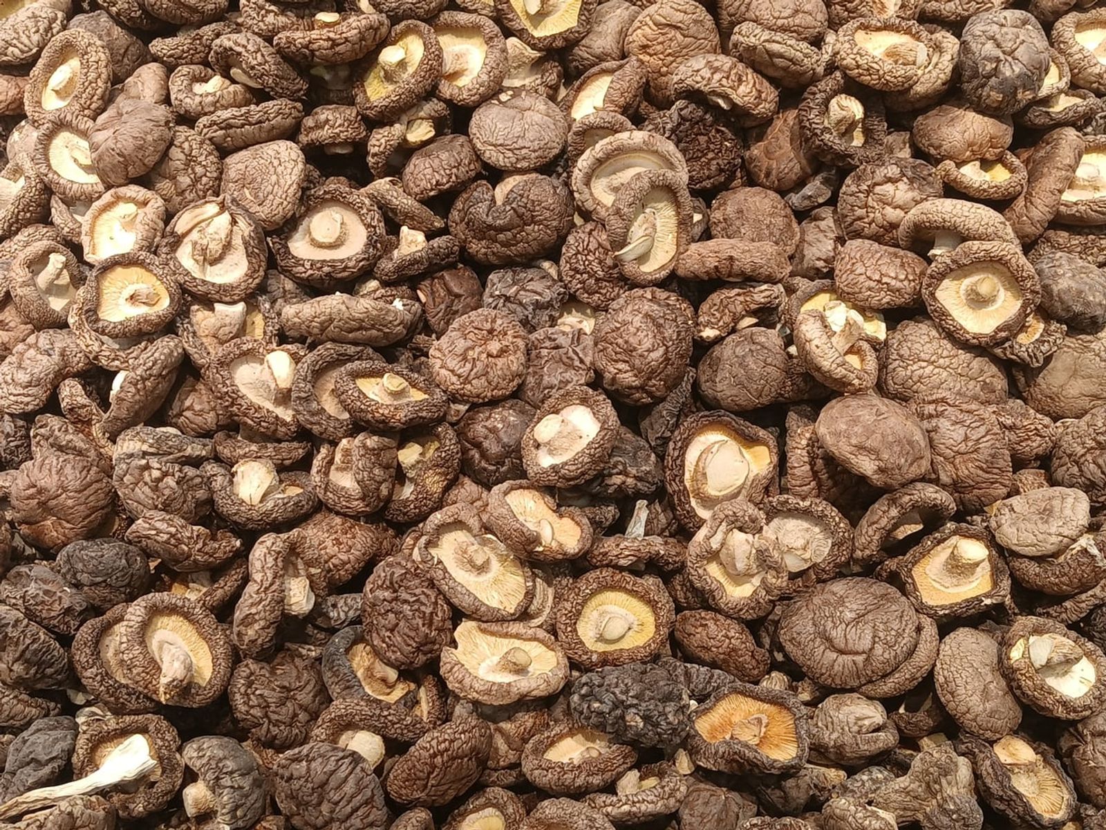 Dried shiitake mushrooms · Photo: François Nguyen / CC BY 2.0 (Wikimedia Commons)