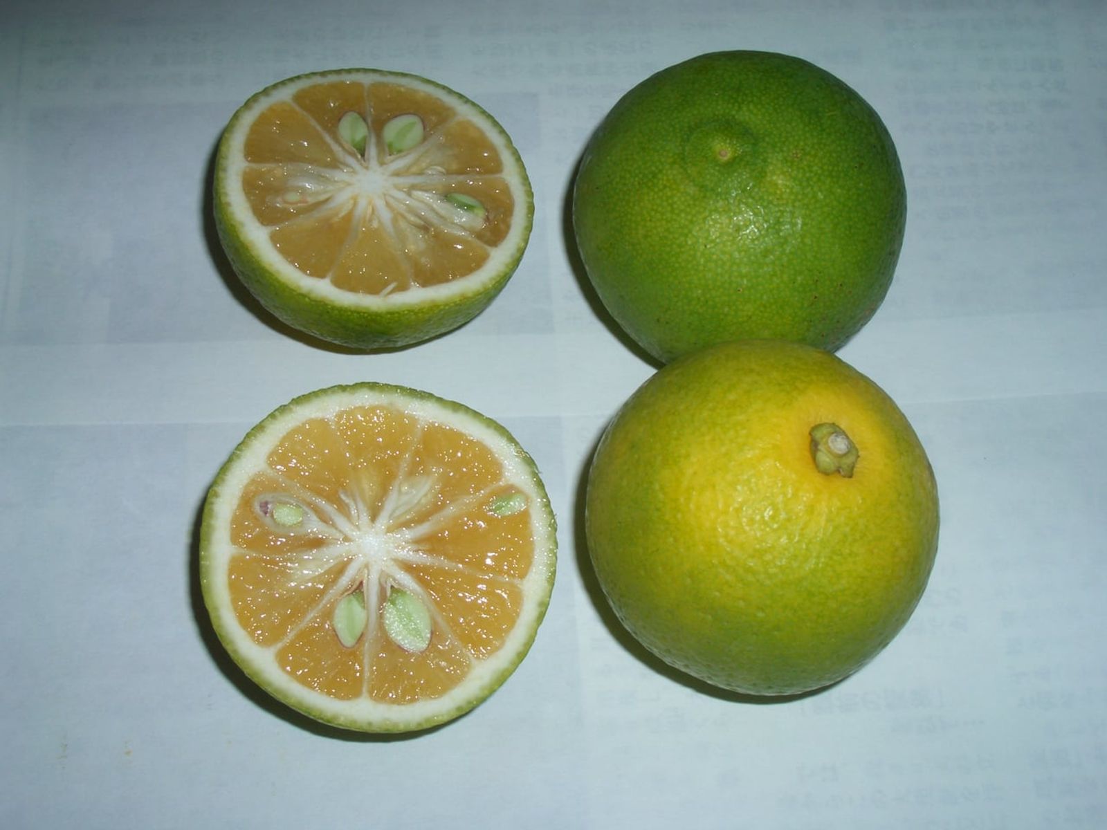 かぼすの果実と断面 · 写真: B.K. Bullock / Public domain (Wikimedia Commons)